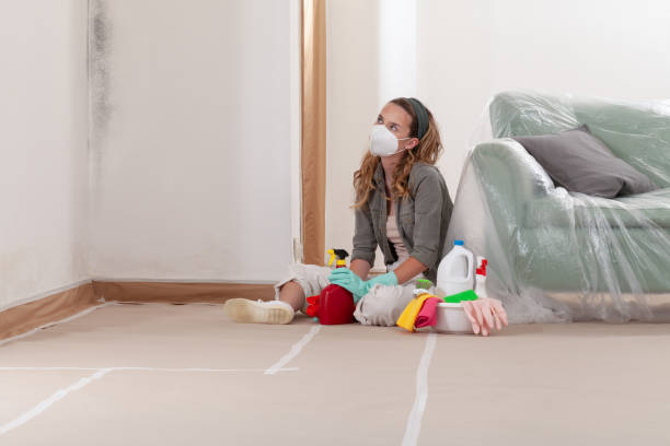 Reliable Mold Cleanup contractor in Happy Valley, OR by WQB Mold Removal